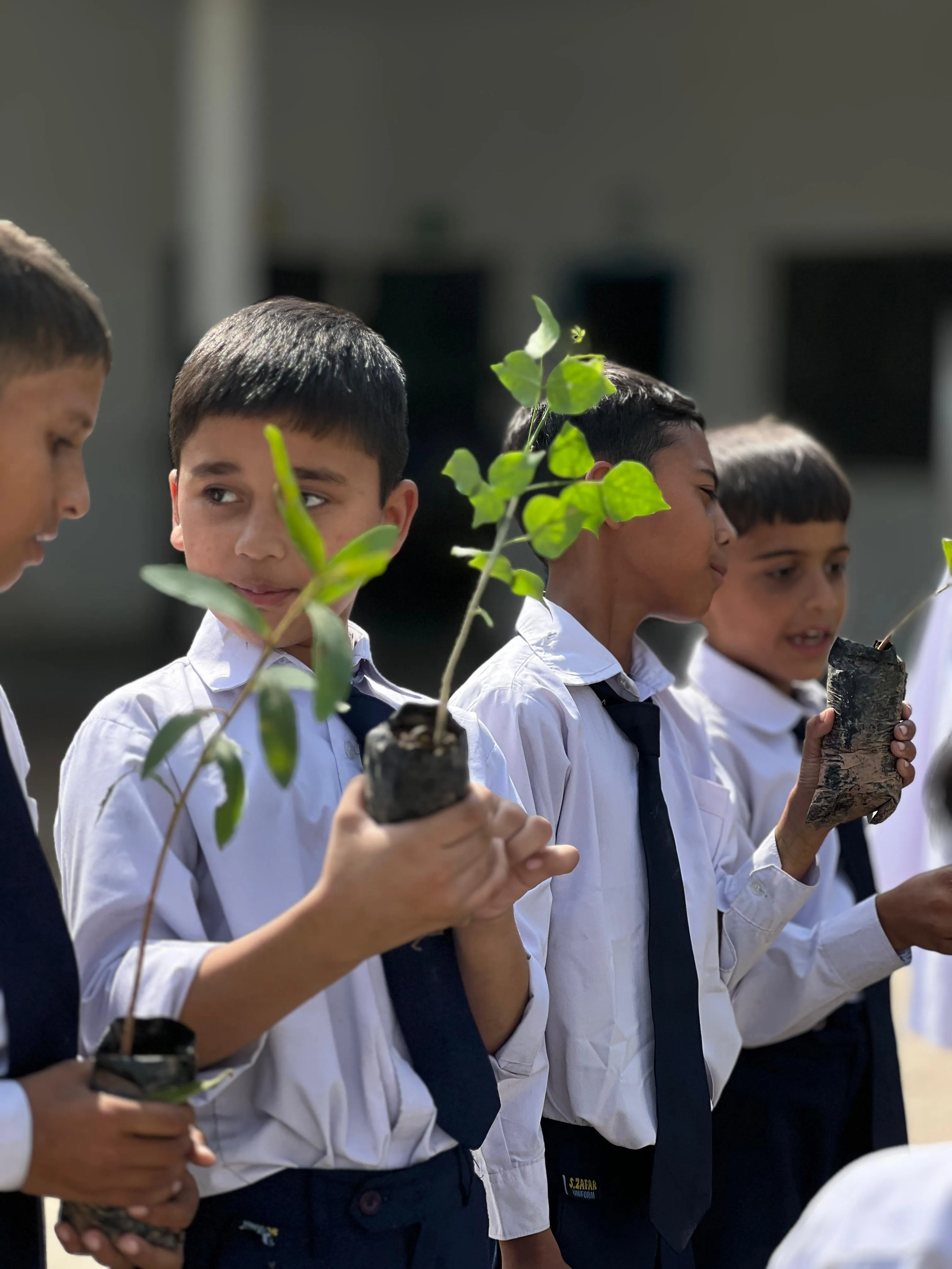 Tree planting activity
